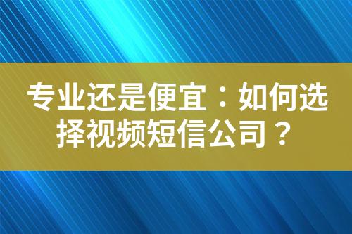 專業還是便宜：如何選擇視頻短信公司？