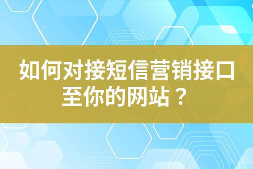 如何對接短信營銷接口至你的網站？