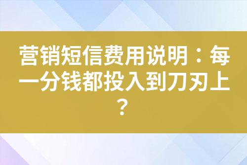 營銷短信費用說明：每一分錢都投入到刀刃上？
