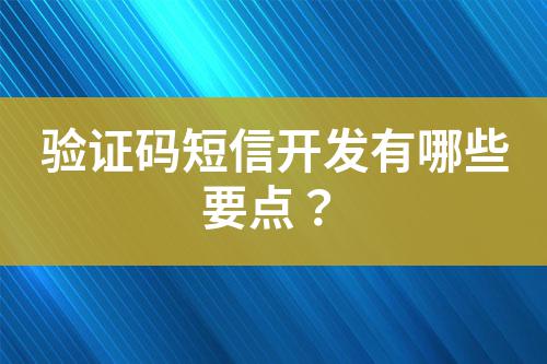 驗(yàn)證碼短信開發(fā)有哪些要點(diǎn)？